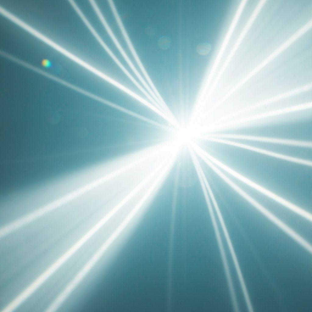 Espacio iluminado con elementos naturales